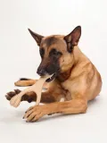 betterbone-beef-large-hard-rodzaj-gryzaki