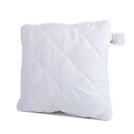 antyalergiczna-poduszka-rosa-45x45-atest-45-jasiek