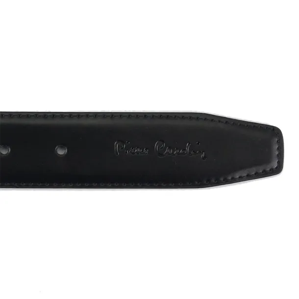 greg32823-marka-pierre-cardin
