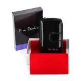 greg19248-marka-pierre-cardin