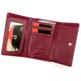 greg54258-marka-pierre-cardin-kod-producenta-greg54258