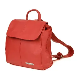 kras41red