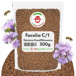 facelia-na-poplon-nasiona-roslina-miododajna-c-1-pozytek-dla-pszczol-500g