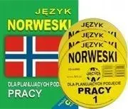 jezyk-norweski-dla-planujacych-podjecie-pracy-cd