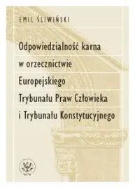 odpowiedzialnosc-karna-w-orzecznictwie