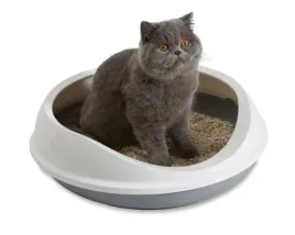 kuweta-otwarta-dla-duzych-kotow-maine-coon-savic-figaro-55x485x155-szara