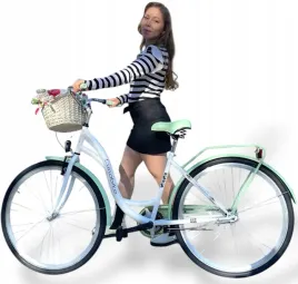lekki-rower-miejski-28-damski-damka-kosz-wiklinowy-wysciolka