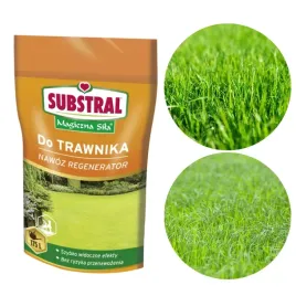 substral-magiczna-sila-nawoz-do-trawnikow-regeneracyjny-350g