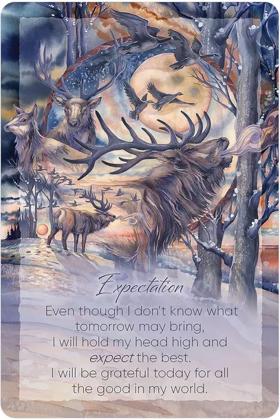 karty-tarot-the-light-within-nazwa-karty-tarot-the-light-within-stan-nowy