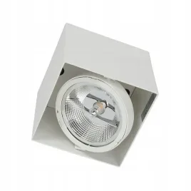 milagro-oprawa-natynkowa-plaza-1xgu10-ar111-bialy-oczka-sufitowe