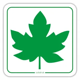 zielony-listek-dla-mlodego-kierowcy