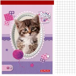 notes-szkolny-klejony-a6-46-kartek-kratka-zwierzeta-pretty-pets-herlitz