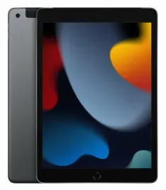tablet-apple-ipad-gen-9-a2604-256gb-10-2-wi-fi-cellular-gwiezdna-szarosc
