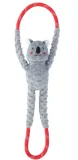 zippy-paws-koala-na-linie