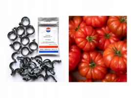 pomidor-buffalosteak-f1-nasiona-holenderskie-klipsy-do-lodyg