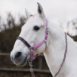 zestaw-kantar-dla-konia-i-uwiaz-horze-graffiti-25ss-rozowy-pony