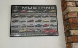 puzzle-1000-ford-mustang-evolution-6000-0684-minimalna-liczba-graczy-2