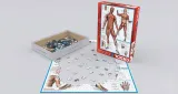 puzzle-1000-the-muscular-system-6000-2015-rodzaj-2d