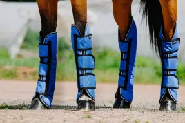 ochraniacze-transportowe-dla-konia-equi-theme-tyrex-aisance-niebieskie-cob
