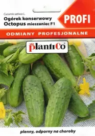 ogorek-octopus-odporny-na-choroby-do-kiszenia-i-konserwowania-nasiona