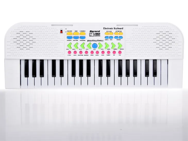 zabawkowey-mini-keyboard-dla-dzieci-mikrofon-rodzaj-organy-marka-leantoys