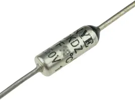 bezpiecznik-termiczny-100-c-10a-250vac-0017