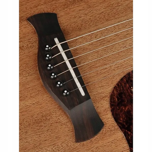 gitara-akustyczna-richwood-a50-master-series-marka-richwood