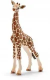 mloda-zyrafa-schleich