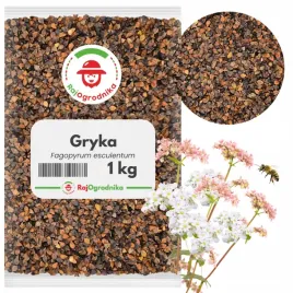 gryka-roslina-miododajna-nasiona-gryki-poplon-poprawa-gleby-1-kg