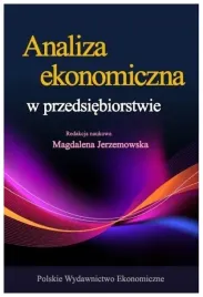 analiza-ekonomiczna-w-przeds-m-jerzemowska