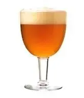 zestaw-surowcow-slody-belgian-blond-160-blg