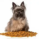 pro-plan-smallandampmini-puppy-kurczak-700g-wiek-zwierzecia-szczenieta-i-mlode-psy