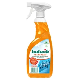 ludwik-plyn-do-zatluszczonych-powierzchni-fruit-600ml
