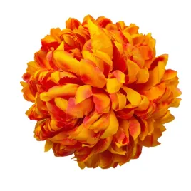 chryzantema-wyr-ananas-flame-6-szt