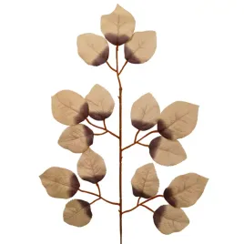 lisc-rozy-cieniowany-bez-12-szt