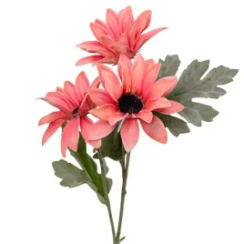 gazania-stokrotka-galazka-lososiowa