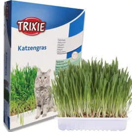 kocia-trawa-dla-kota-nasiona-w-pojemniku-przysmak