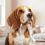 acefast-kabel-usb-usb-typ-c-12m-3a-bialy-certyfikat-ce