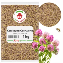 koniczyna-czerwona-1-kg-nasiona-dla-pszczol-poplon-lakowa-or-rajogrodnika
