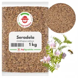 seradela-1-kg-nasiona-na-poplon-poprawia-glebe-dla-pszczol-or-rajogrodnika