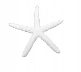 ozdoba-do-akwarium-dekoracja-rozgwiazda-biala
