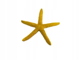 ozdoba-do-akwarium-dekoracja-rozgwiazda-zolta