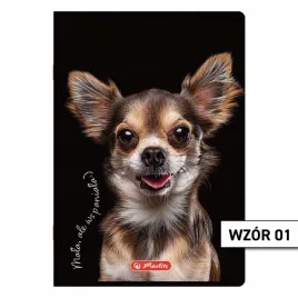 zeszyt-a5-w-linie-60-kartek-herlitz-animal-2025