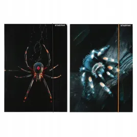 teczka-z-gumka-a4-pajak-starpak-559732-1-szt