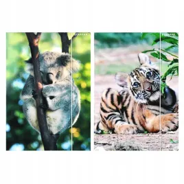 teczka-z-gumka-a4-wild-animal2-starpak-559730-1-szt