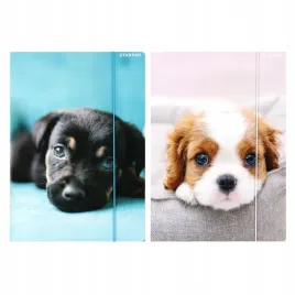 teczka-z-gumka-a4-pieski-starpak-559719-1-szt