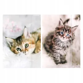 teczka-z-gumka-a4-kotki-starpak-559717-1-szt