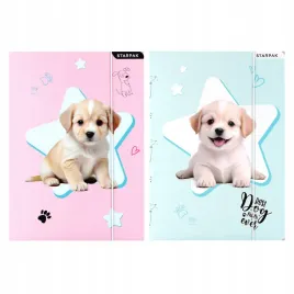 teczka-z-gumka-a4-doggy-starpak-559706-1-szt