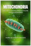 mitochondria-maria-elisabeth-druxeis