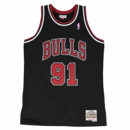 nba-chicago-bulls-dennis-rodman-swingman